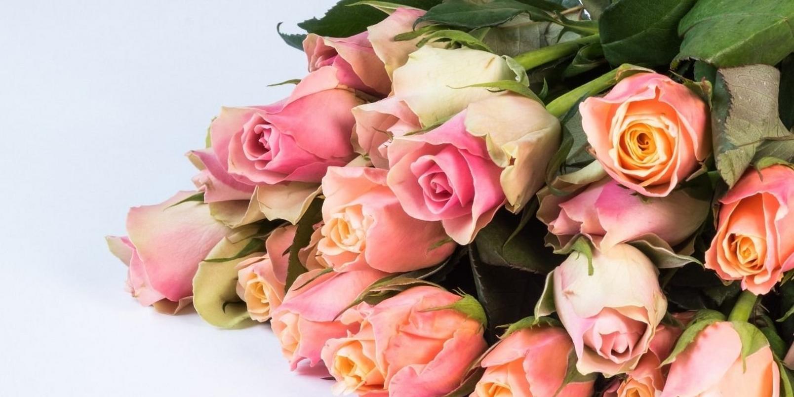 Pink-rose-bunch-1